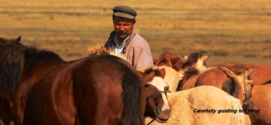 Gobi March (Mongolia) 2024 - Location